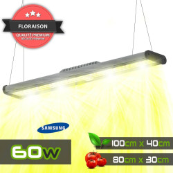 SpectraWILD S60 - Barre horticole LEDs Full Spectrum - 60W - 50cm - Samsung/Meanwell