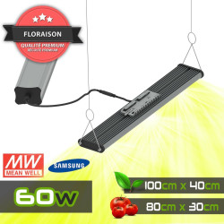 SpectraWILD S60 - Barre horticole LEDs Full Spectrum - 60W - 50cm - Samsung/Meanwell