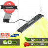 SpectraWILD S60 - Barre horticole LEDs Full Spectrum - 60W - 50cm - Samsung/Meanwell