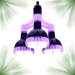 Pack complet pour 3 ampoules SpectraBULB X30 - Prêt à utiliser
