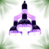 Pack complet pour 3 ampoules SpectraBULB X30 - Prêt à utiliser