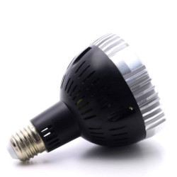 OSRAM 30W LED-Gartenbaulampe - SpectraBULB X30