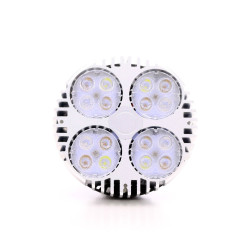 OSRAM 30W LED-Gartenbaulampe - SpectraBULB X30