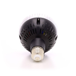 OSRAM 30W LED-Gartenbaulampe - SpectraBULB X30