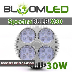 OSRAM 30W LED-Gartenbaulampe - SpectraBULB X30