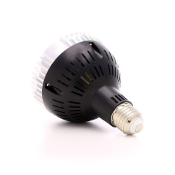 OSRAM 30W LED-Gartenbaulampe - SpectraBULB X30