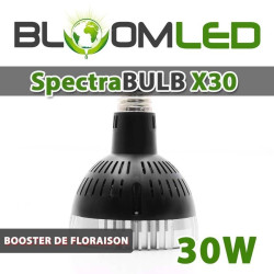 OSRAM 30W LED-Gartenbaulampe - SpectraBULB X30