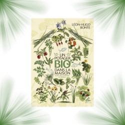 Un Potager BIO dans ma maison - Mama Editions