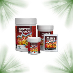 Massive BLOOM Hydropassion – Potenciador de Floración PK 50-33