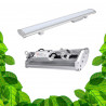 XModule v4 - Rampe LED pour murs végétaux - 200W