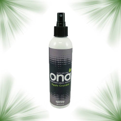 Rocíe ONA Apple Crumble - 250mL