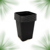 Seedling bucket - 7x7x8cm (unit)