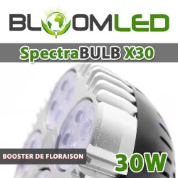 OSRAM 30W LED-Gartenbaulampe - SpectraBULB X30
