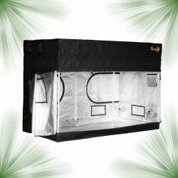 Box de culture - Gorilla Shorty Indoor - 120x244x150/170cm