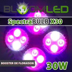OSRAM 30W LED-Gartenbaulampe - SpectraBULB X30