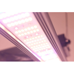 SpectraWILD M720 - Barres horticoles LEDs Full Spectrum - 720W - 90x90 - Compatible console SmartWILD -Samsung/Meanwell BloomLED