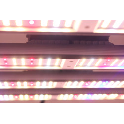 Pack Plug and Grow - 60x60 - SpectraWILD S240 - DarkStreet 60  - 20