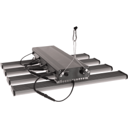 Pack Plug and Grow - 80x80 - SpectraWILD S240 - HomeBOX Q80+  - 17