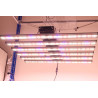 Pack Plug and Grow - 100x100 - SpectraWILD M720 - HomeBOX Q100+  - 20