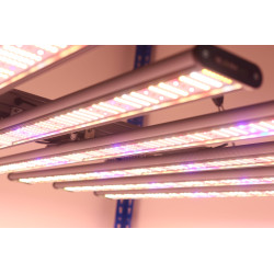 Pack Plug and Grow - 120x120 - SpectraWILD L960 - DarkStreet 120  - 15