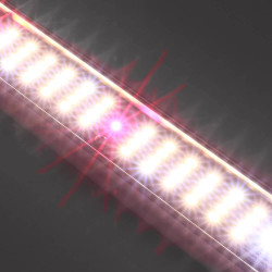 SpectraB.2.G X45 60cm - LED de barra hortícola para crecimiento y floración
