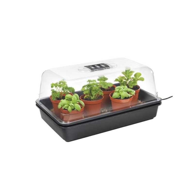 Serre Thermo-Chauffante Stewart - 38 x 24 x 19.5cm  - 2
