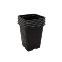 Set mit 10 Sämlingstöpfen – Töpfe 7 x 7 x 8 cm