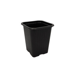 Cubo para plantones - 7x7x8cm (unidad)  - 2