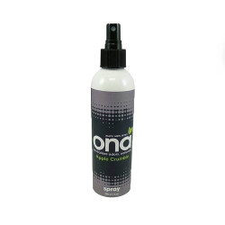 Spray ONA Apple Crumble - 250mL ONA - 2