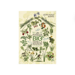 An organic vegetable garden in my house - Mama Editions  - 2