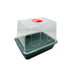 Gewächshausgirlande 20 x 17 x 17 cm – ideal für Stecklinge