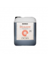 Bio Bloom BioBizz - Engrais de floraison bio | BloomLED