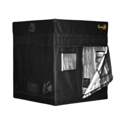 Gorilla Shorty 150x150 Growbox 1680D | BloomLED