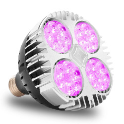SpectraBULB X30 V2 : L'ampoule LED horticole révolutionnaire pour une culture en intérieur