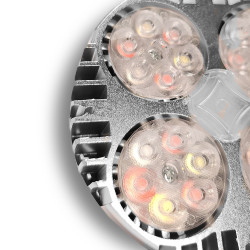 Ampoule pour plantes LED croissance et floraison SpectraBULB X30 BloomLED