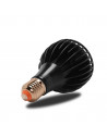 SpectraBULB X20 V3 - Ampoule LED Horticole Écoénergétique pour Plantes d'Intérieur