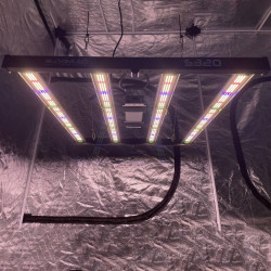 SpectraWILD S320 320W — LED Grow Light 80x80 | BloomLED