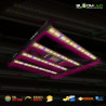 SpectraWILD S320 320W — LED hortícola 80x80 | BloomLED