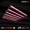 SpectraWILD M650 650W — LED horticola 120x120 | BloomLED