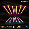 SpectraWILD M650 650W — LED Grow Light 120x120 | BloomLED