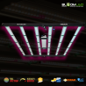 SpectraWILD M650 - Eclairage horticole LED pour chambre de culture et plantes en intérieur