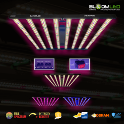 SpectraWILD L900 PRO 900W — LED Hortícola PRO | BloomLED