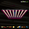 SpectraWILD L900 PRO - Lampe horticole professionnel pour la culture intensive de plantes
