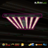 SpectraWILD M500 PRO 500W — LED Horticole | BloomLED
