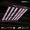 SpectraWILD M500 PRO 500W — LED Horticole | BloomLED
