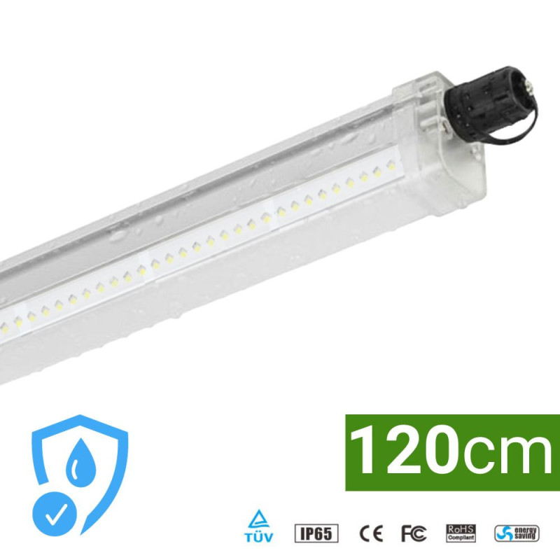 Barre horticole LED SpectraLINE V2 120 cm IP65 BloomLED au-dessus de semis en culture indoor