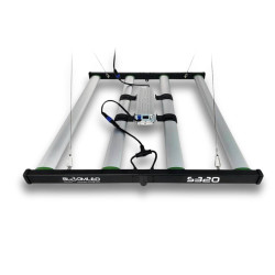 SpectraWILD S320 320W — LED Horticole 80x80 | BloomLED