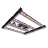 SpectraWILD S320 320W — LED Horticole 80x80 | BloomLED