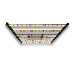 SpectraWILD M650 650W — LED Grow Light 120x120 | BloomLED