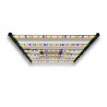 SpectraWILD M650 650W — LED horticola 120x120 | BloomLED